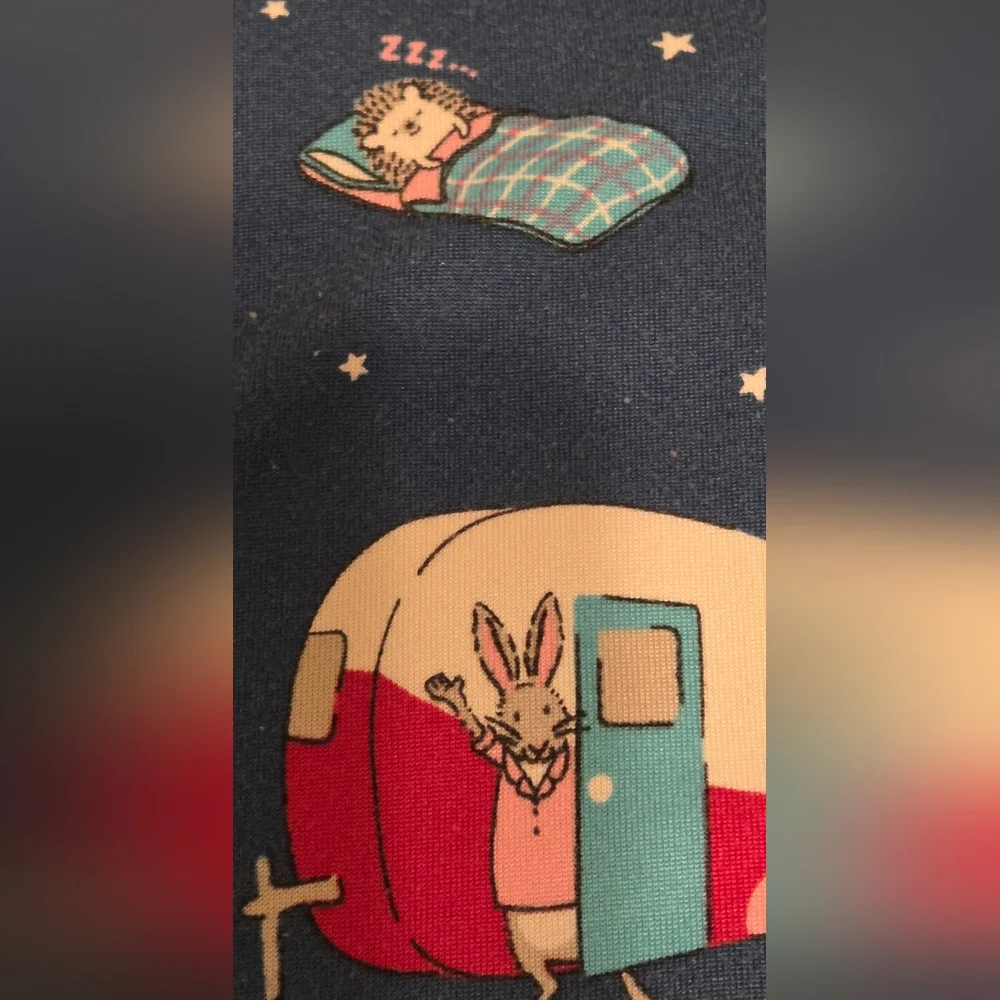 Secret Treasures Nightshirt Blue Camp Trailer Whimsical Critter pattern XL